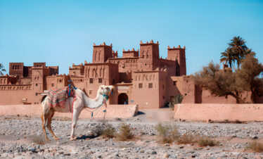 Camels in front of the historic Kasbah Amridil in the Skoura Oasis near Ouarzazate, Morocco.