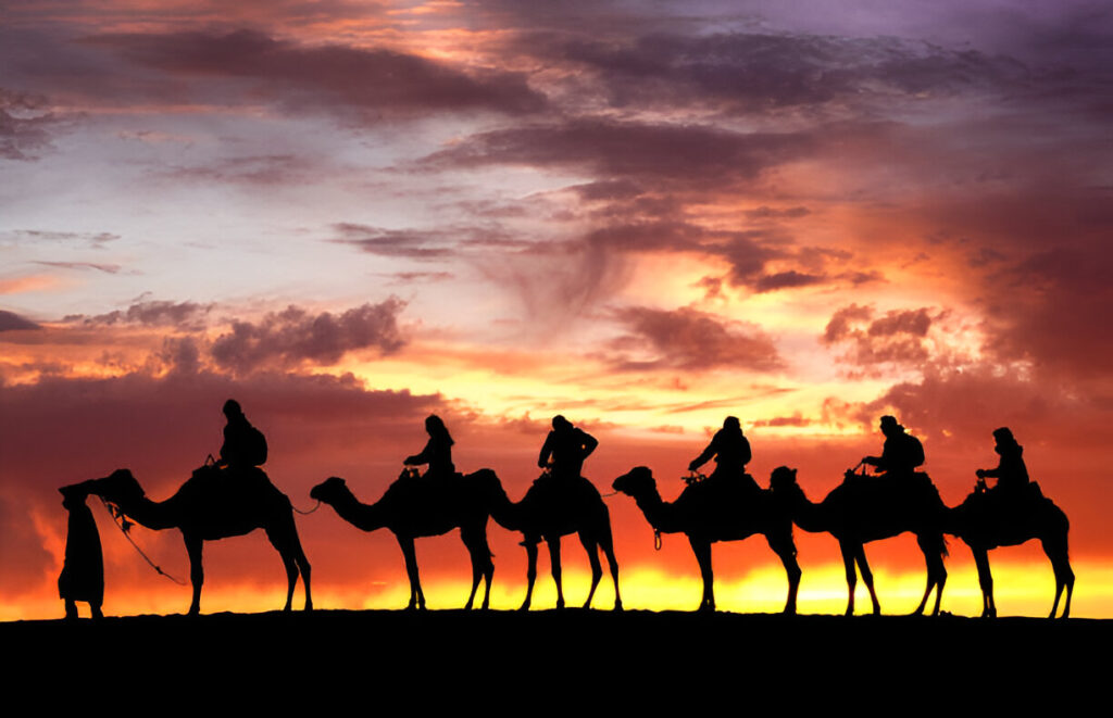Tourists riding camels across the Erg Chebbi dunes at sunset, Morocco.