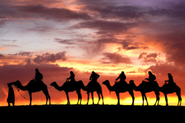 Home 33 Tourists riding camels across the Erg Chebbi dunes at sunset, Morocco.
