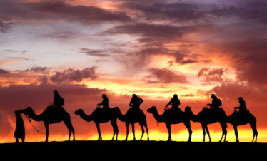 Tourists riding camels across the Erg Chebbi dunes at sunset, Morocco.
