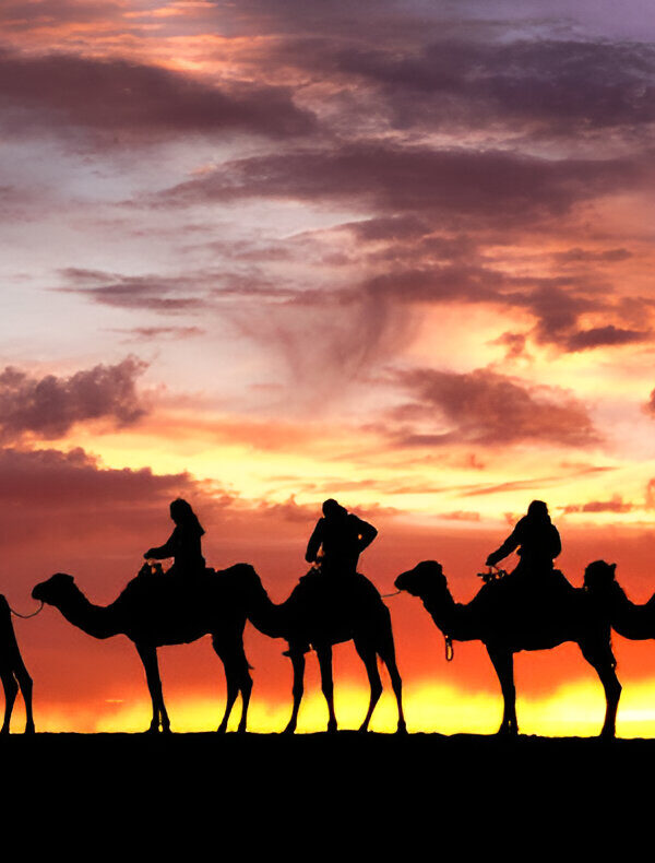 Tourists riding camels across the Erg Chebbi dunes at sunset, Morocco.