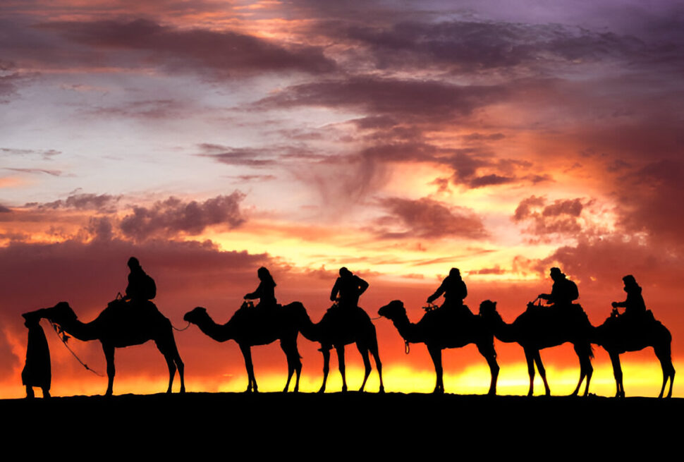 Tourists riding camels across the Erg Chebbi dunes at sunset, Morocco.