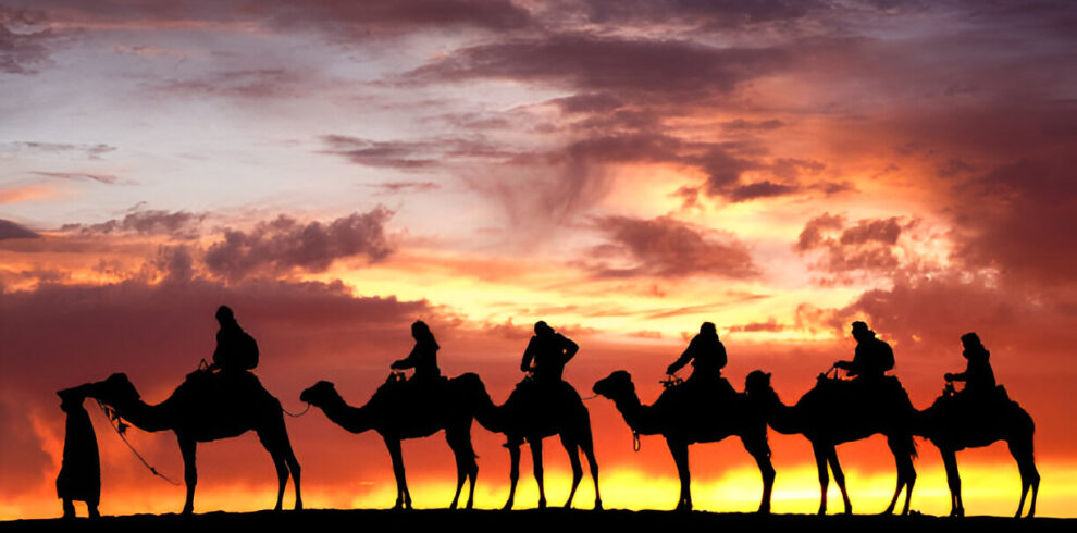 Tourists riding camels across the Erg Chebbi dunes at sunset, Morocco.
