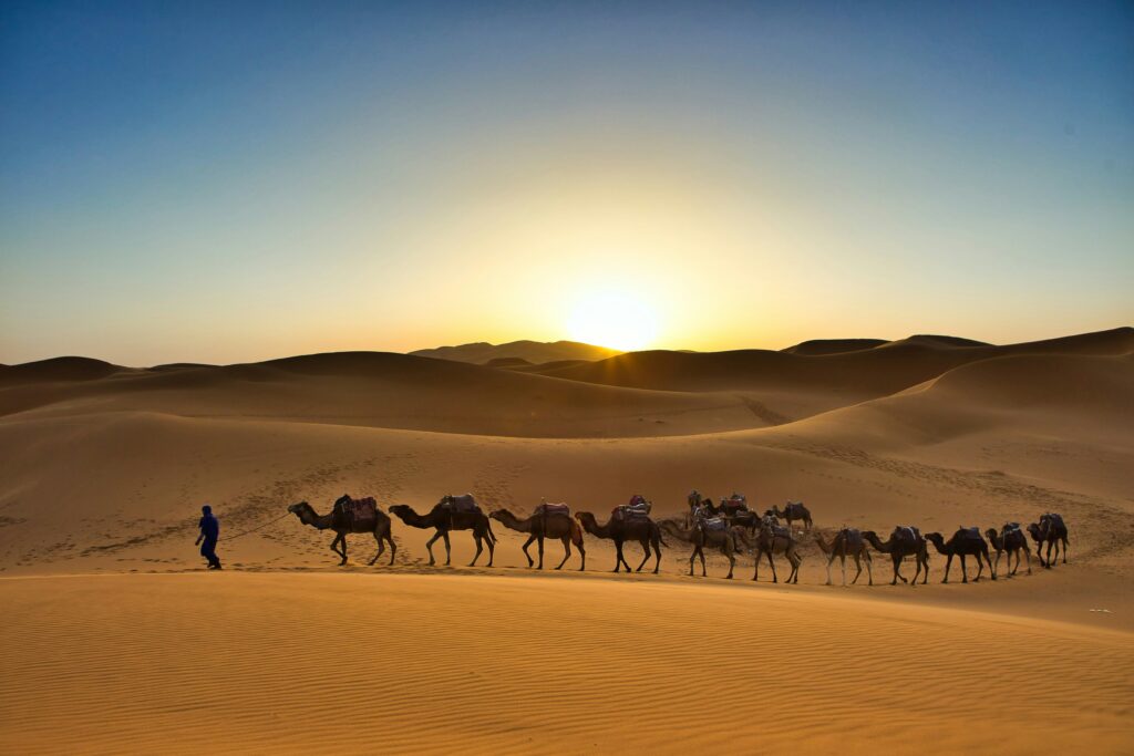 Tourists riding camels across the Erg Chebbi dunes at sunset, Morocco