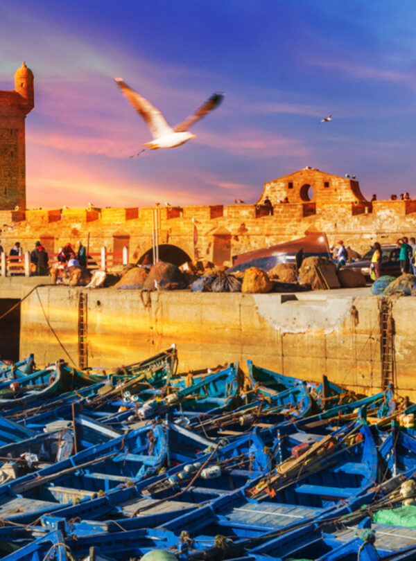 Stone fortress by the sea with blue boats in the foreground and birds flying overhead.
