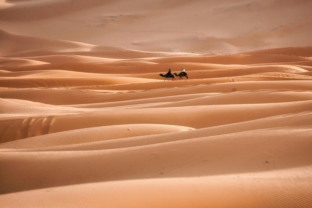 Panoramic view of the golden sand dunes of the Sahara Desert in Erg Chebbi Merzouga Morocco