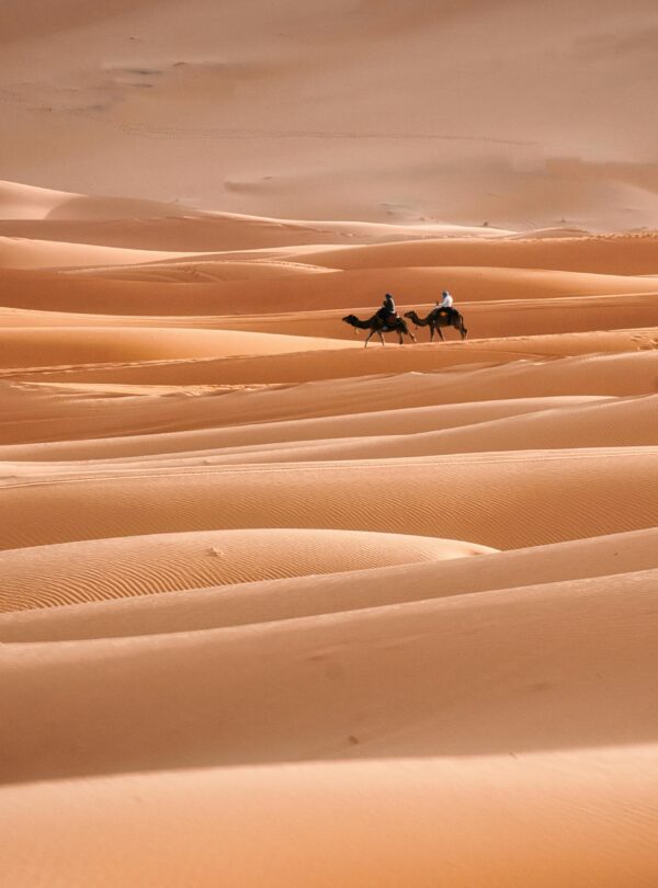 Panoramic view of the golden sand dunes of the Sahara Desert in Erg Chebbi Merzouga Morocco