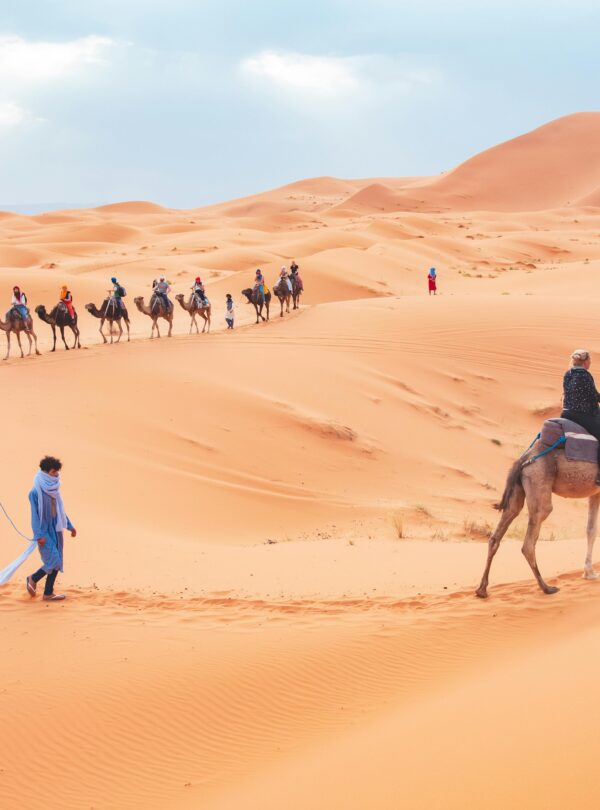 Camel trekking tour in the Sahara Desert near Merzouga with travelers riding camels across the Erg Chebbi dunes