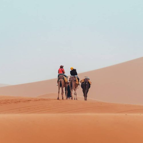 7 Days Morocco Tour From Marrakech To Fes