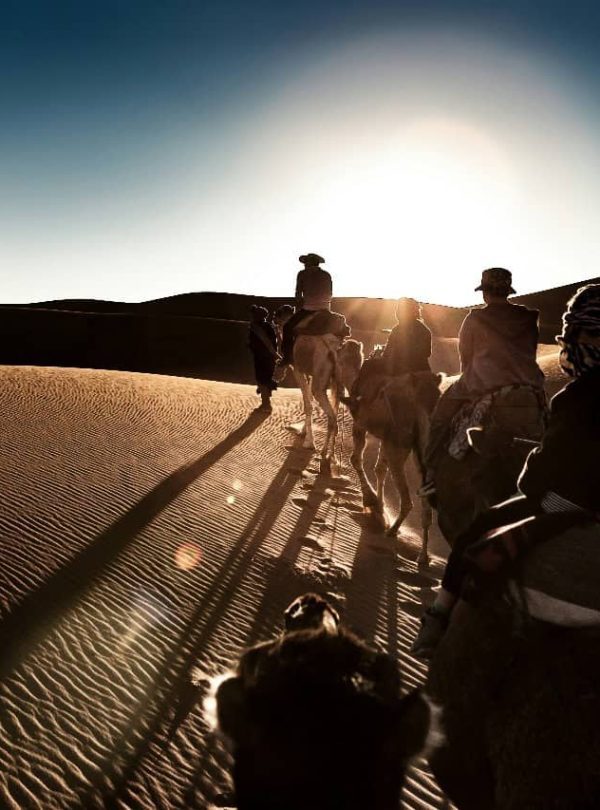 Casablanca To Marrakech Desert Tour